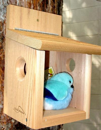 Kettle Moraine wooden bluebird feeder